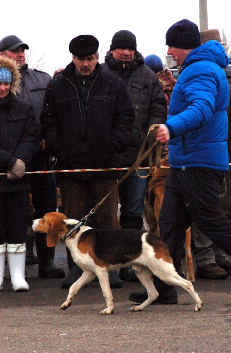 ЯРОСЛАВЛЬ 2017 мл..jpg