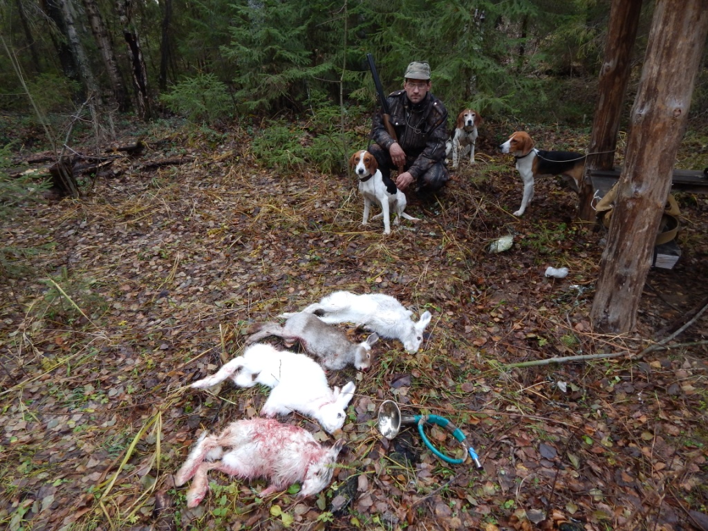 коль пошло такое дело, посмотрите на моих. передний план- найда 1,9 г, правее рыдай 1,5г